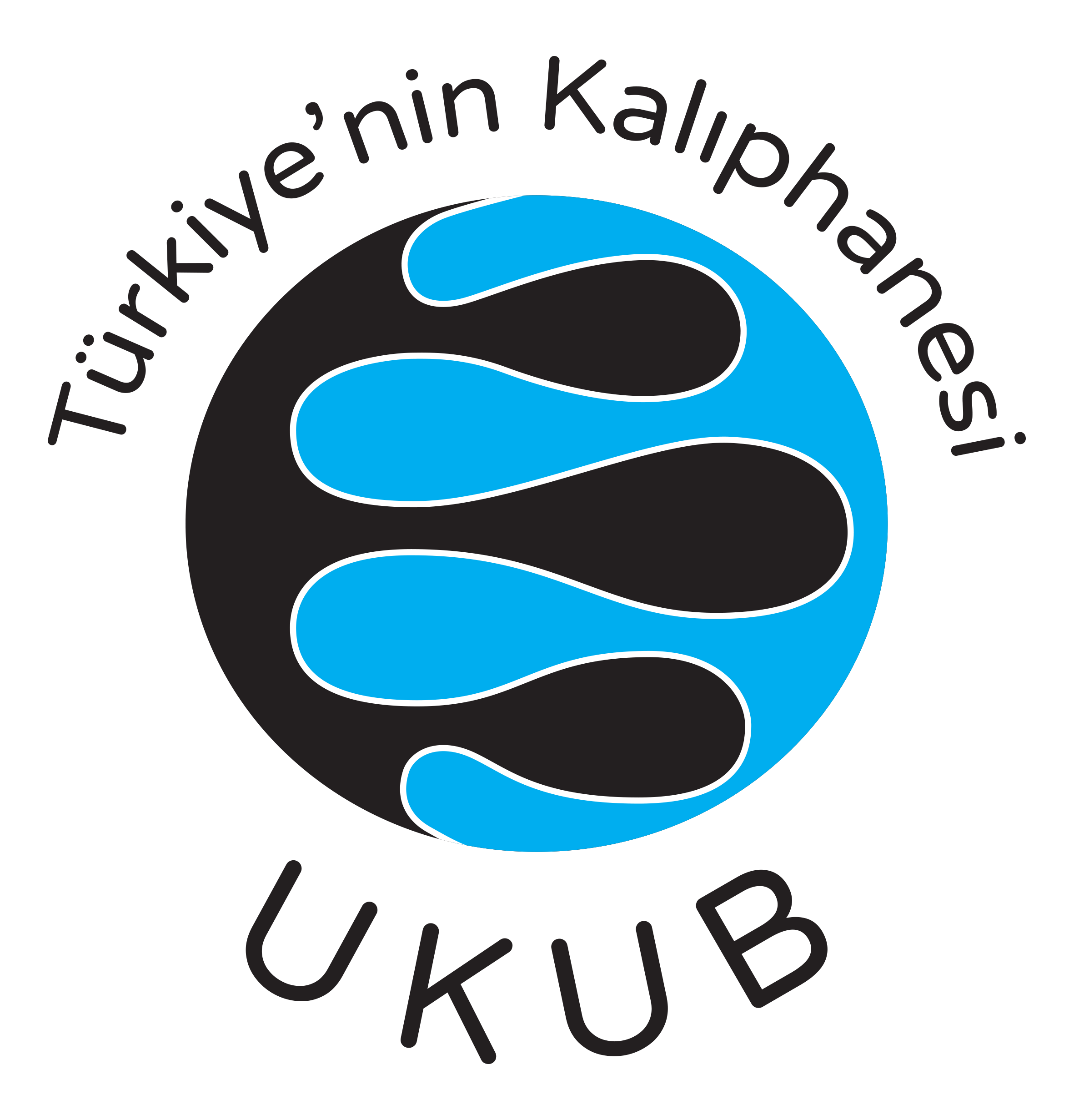 ukub logo